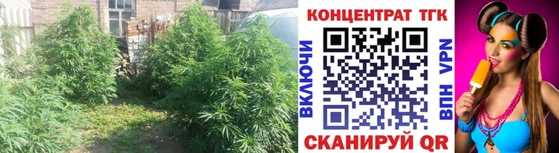 ТГК вейп с тгк  Купить  Артёмовск 