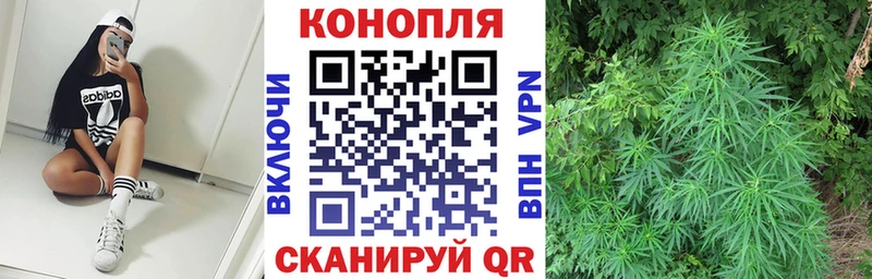 Купить закладки  Артёмовск  Конопля индика 
